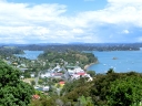whangarei (18)